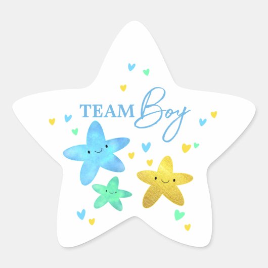 Twinkle Little Star Gender onthaal Team Boy Ster Sticker (Voorkant)