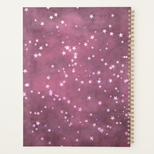 Twinkle Little Star | Roze Mint Green Zwangerschap Planner (Achterkant)