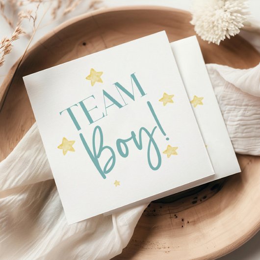 Twinkle Little Star Team Boy Blauw Geslacht onthul Servet