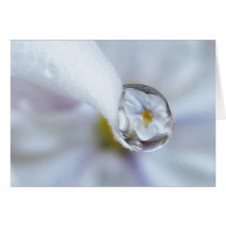 Twinkle Twinkle-kaart