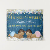 Twinkle Twinkle Little Star Baby Shower Achtergron Wandkleed (Voorkant (horizontaal))