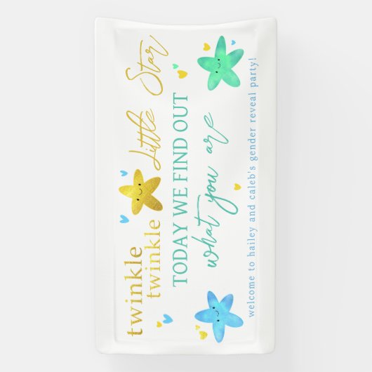 Twinkle Twinkle Little Star Gender onthult Banner (Verticaal)