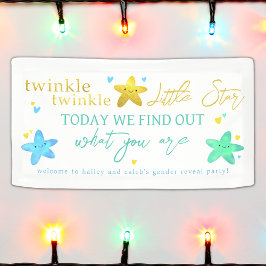 Twinkle Twinkle Little Star Gender onthult Banner