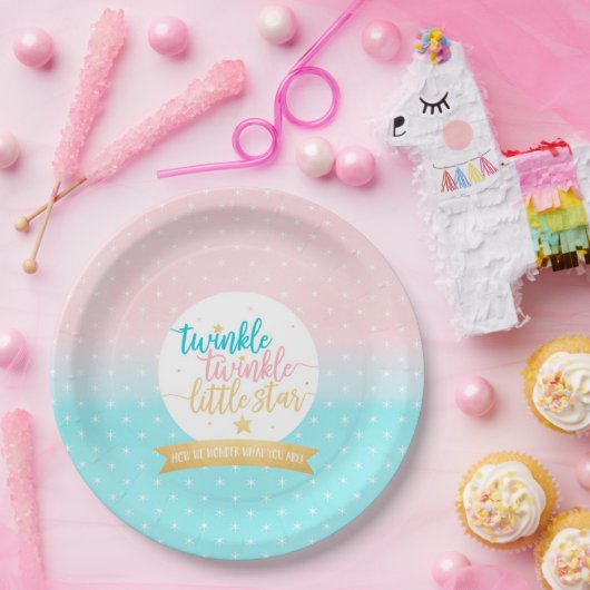 Twinkle Twinkle Little Star Gender Reeft Shower Papieren Bordje (Feest)