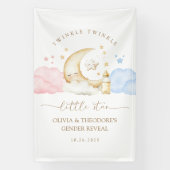 Twinkle Twinkle Little Star Geslacht Reveal Welkom Spandoek (Verticaal)