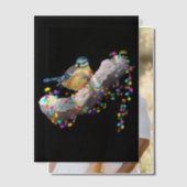 Twinkle Twinkle Little Tit Vellum Uitnodigingen (Offset (Koppel))