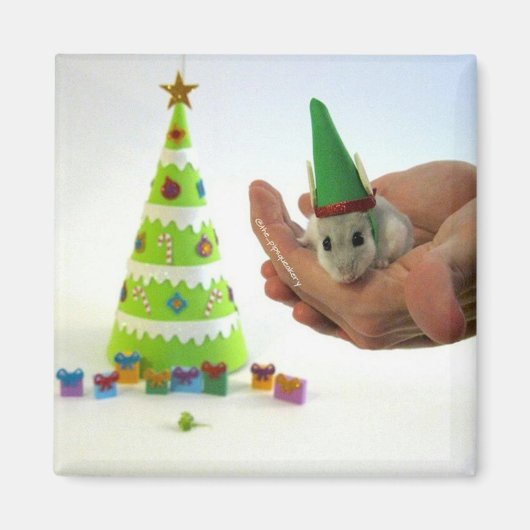 Twinkletoes de Elf! Magneet (Voorkant)