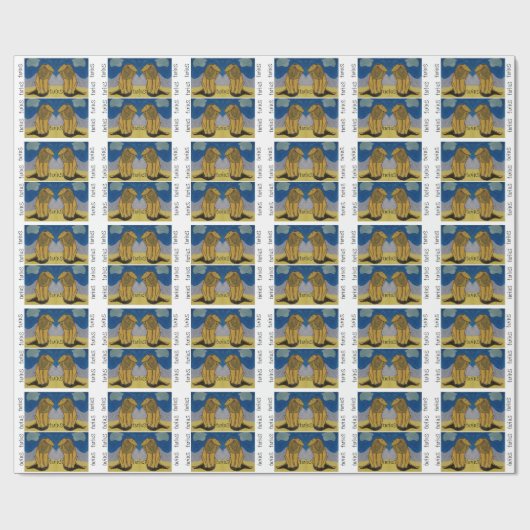 Twins Cadeaupapier (Vlak)