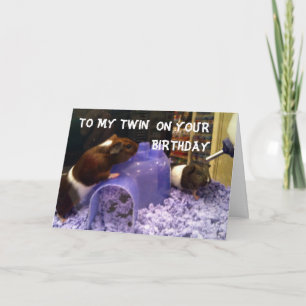 TWINS HAMSTER HUMOR=EENVOUDIG OM UW TWIN TE ZIJN KAART
