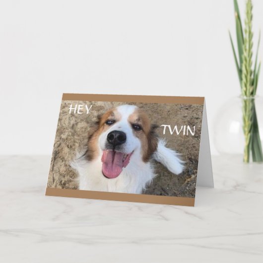 **TWINS** HEBBEN WEER DE "BESTE" VERJAARDAG OIT! KAART (Voorkant)