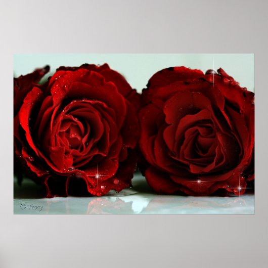 Twins Poster (Voorkant)