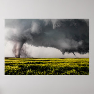 Twins Poster