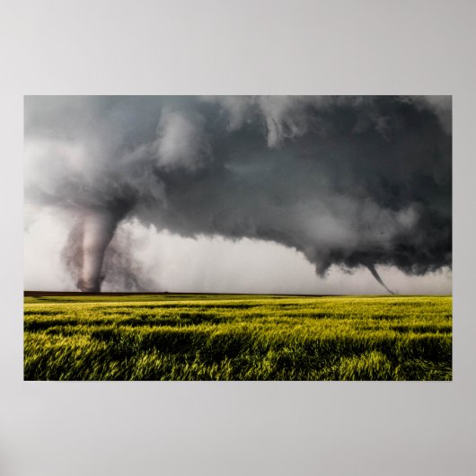 Twins Poster (Voorkant)