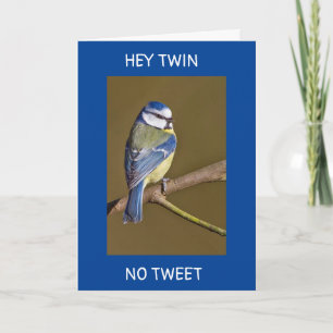 TWIN'S VERJAARDAG-GEEN TWEEETS VAN DEZE VOGEL KAART
