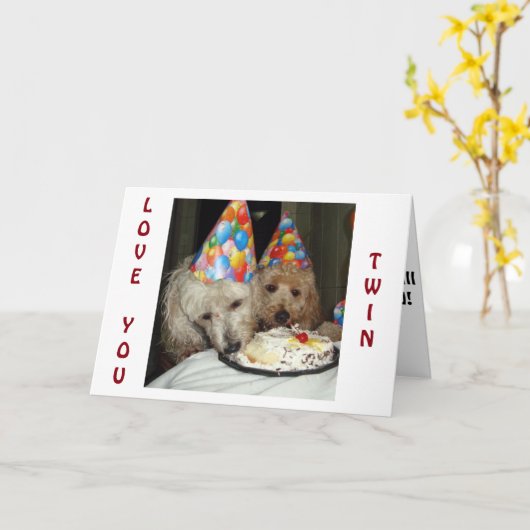 **TWIN'S** VERJAARDAG - ONTHOUD ALLES WAT WE HEBBE KAART (Gele Bloem)