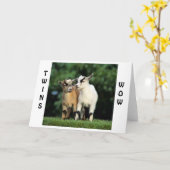 TWINS=WOW=FELICITATIES ZEGT DE PRATENDE GEITEN KAART (Gele Bloem)