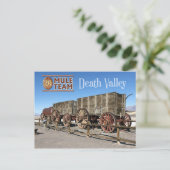 Twintig-mule teamwagons, Death Valley, Californië Briefkaart (Staand voorkant)
