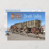 Twintig-mule teamwagons, Death Valley, Californië Briefkaart (Voorkant / Achterkant)
