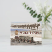 Twintig-mule teamwagons, Death Valley, Californië Briefkaart (Staand voorkant)