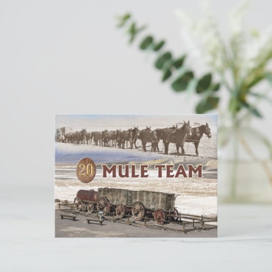 Twintig-mule teamwagons, Death Valley, Californië Briefkaart (Staand voorkant)