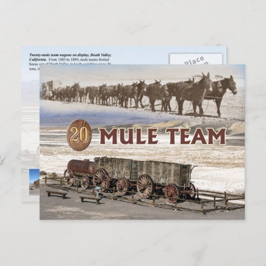 Twintig-mule teamwagons, Death Valley, Californië Briefkaart (Voorkant / Achterkant)
