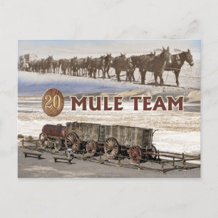 Twintig-mule teamwagons, Death Valley, Californië Briefkaart