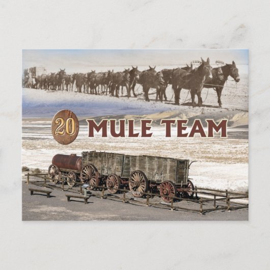 Twintig-mule teamwagons, Death Valley, Californië Briefkaart (Voorkant)
