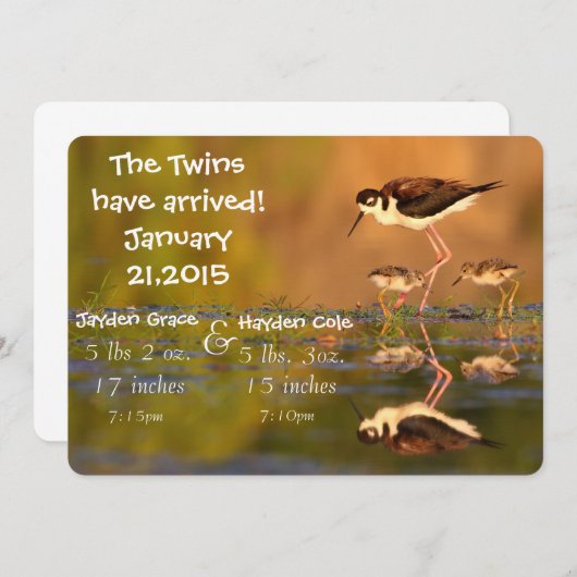 Twintig zwarte hals Stilts Aankondiging (Voorkant / Achterkant)