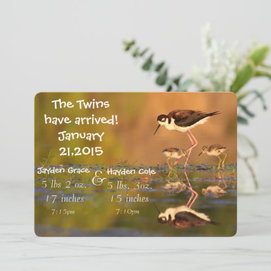 Twintig zwarte hals Stilts Aankondiging (Staand voorkant)