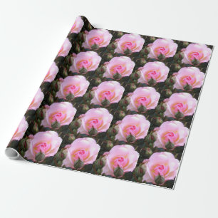 Twintigste bruiloft Jubileum Perfect Engels Roos Cadeaupapier