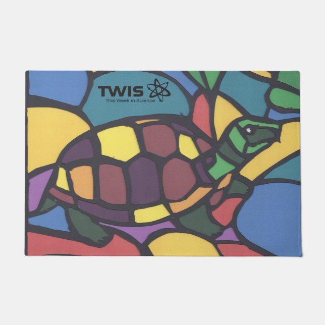 TWIS #blairsanimalhoek Box Turtle Doormat  Deurmat (Voorkant)