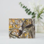 Twist en Launch Eagle Briefkaart (Staand voorkant)