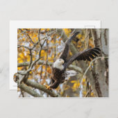 Twist en Launch Eagle Briefkaart (Voorkant / Achterkant)