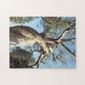 Twisted baobab tree, Madagascar Legpuzzel (Horizontaal)