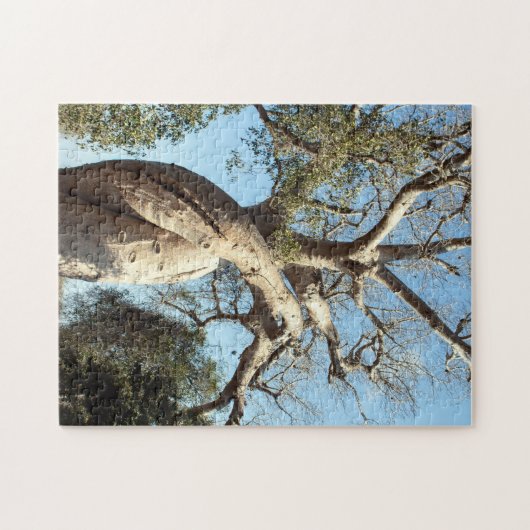Twisted baobab tree, Madagascar Legpuzzel (Horizontaal)