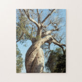 Twisted baobab tree, Madagascar Legpuzzel (Verticaal)