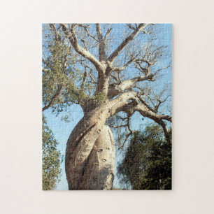 Twisted baobab tree, Madagascar Legpuzzel