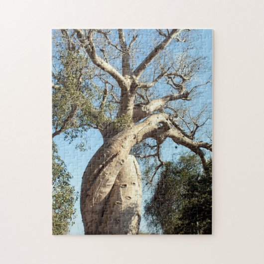 Twisted baobab tree, Madagascar Legpuzzel (Verticaal)