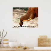 Twisted boomstam Elephant Poster (Keuken)
