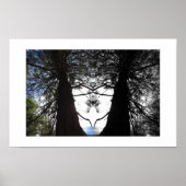 Twisted Branches Yosemite Reflection Photography Poster (Voorkant)