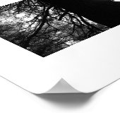 Twisted Branches Yosemite Zwart-wit Foto Poster (Hoek)