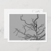 Twisted Briefkaart (Voorkant / Achterkant)