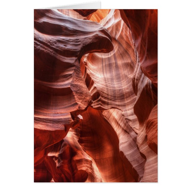 Twisted Gap (Voorkant)