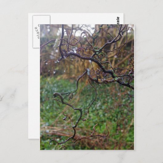 Twisted Hazel Briefkaart (Voorkant / Achterkant)