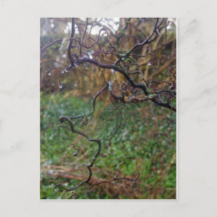 Twisted Hazel Briefkaart