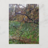 Twisted Hazel Briefkaart (Voorkant)