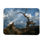 Twisted Limber Pine Trunk, Craters van de maan Magneet (Horizontaal)