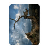 Twisted Limber Pine Trunk, Craters van de maan Magneet (Verticaal)