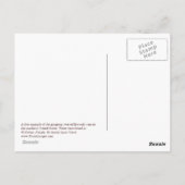 Twisted Live Oaks Briefkaart (Achterkant)