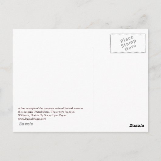 Twisted Live Oaks Briefkaart (Achterkant)